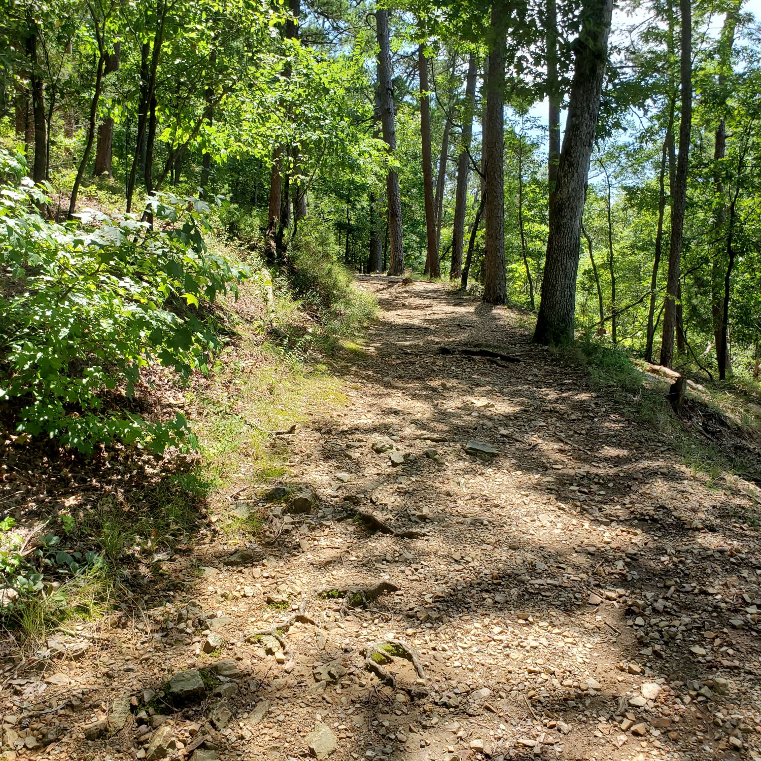 Hot Springs National Park 